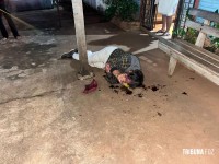 Siate socorre vítima de agressão na marginal da Rodovia BR-277 em Foz do Iguaçu