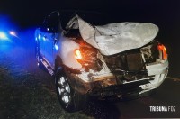 Casal de catador de latinha morre atropelado na BR-277; Condutor estava embriagado