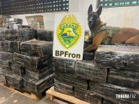 BPFRON apreende 1.243,8 Kg de maconha em Santa Helena