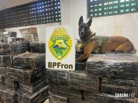 BPFRON apreende 1.243,8 Kg de maconha em Santa Helena