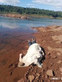 Corpo de adolescente brasileiro é encontrado a 50 Km para baixo do Rio Paraná