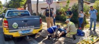 Motociclista fica ferido após colisão na Av. General Meira