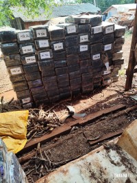 BPFRON e NEPOM prende homem com 2.777,9 Kg de maconha em Santa Helena