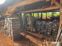 BPFRON e NEPOM prende homem com 2.777,9 Kg de maconha em Santa Helena