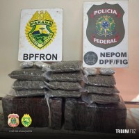 PF e PMPR apreendem mais de 61,8 Kg de maconha tipo capulho em barco de pesca no Rio Paraná