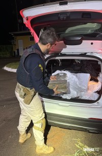 PRF apreende 184 Kg de maconha após perseguição policial na BR-277, em Santa Terezinha de Itaipu