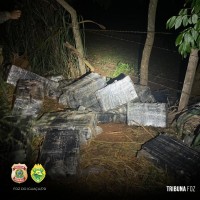 PF e PMPR apreendem 769 Kg de maconha abandonados na mata ciliar do Rio Paraná no Bairro Porto Belo