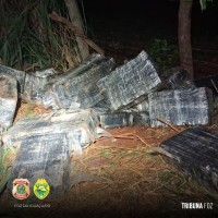 PF e PMPR apreendem 769 Kg de maconha abandonados na mata ciliar do Rio Paraná no Bairro Porto Belo