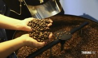 Consumo de café cai 16%, diz associação da indústria