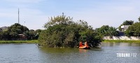 Bombeiros resgatam pato que estava preso a linha de pesca na ilha do Parque Remador