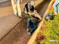 Acidente com múltiplos veículos deixa motociclista ferido na BR-277 