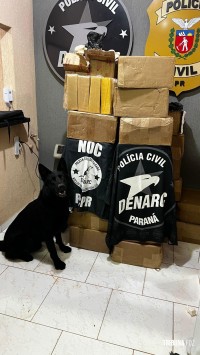 DENARC apreende 807 quilos de maconha em carreta durante operação em São Miguel do Iguaçu