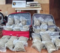 Português é preso com 22,4 Kg de maconha tipo skank em Presidente Franco, no Paraguai