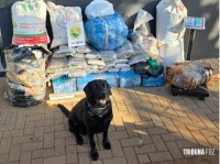 PM apreende mais de 230 Kg de drogas na região central de Foz do Iguaçu
