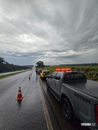 PRF prende condutor que capotou carro na BR-277 carregado com 448 Kg de maconha