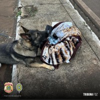 Policia Federal e Exercito Brasileiro prendem duas passageiras com haxixe em ônibus interestadual