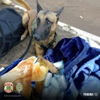 Policia Federal e Exercito Brasileiro prendem duas passageiras com haxixe em ônibus interestadual