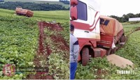 Caminhoneiro é impedido de retirar veículo de lavoura após acidente na BR-277 em Céu Azul
