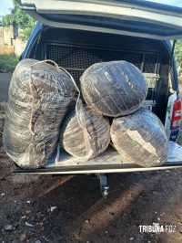 GM apreende cinco sacos de maconha tipo capulho na Favela do Monsenhor