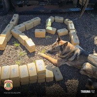 Cão policial Drogo se aposenta após 7 anos de serviço na Policia Federal em Foz do Iguaçu