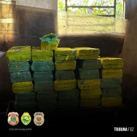 BPFRON, PF e PC apreendem 982,9 Kg de maconha em São Miguel do Iguaçu