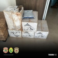 BPFRON, PF e PC apreendem 982,9 Kg de maconha em São Miguel do Iguaçu