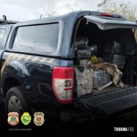 Traficante morre em confronto com a Policia Federal na região do Bairro Porto Belo