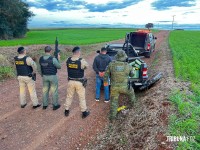 Ação conjunta entre forças policias resulta na apreensão de 700 Kg de maconha em Santa Tereza do Oeste 