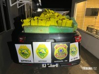 Ação conjunta entre forças policias resulta na apreensão de 700 Kg de maconha em Santa Tereza do Oeste 
