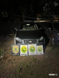 Ação conjunta entre forças policias resulta na apreensão de 700 Kg de maconha em Santa Tereza do Oeste 