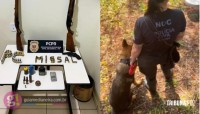 Polícia Civil apreende armas de fogo em operação na zona rural de Missal