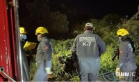 Brasileira desaparecida é encontrada morta em área de mata no Paraguai