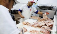 Brasil se declara país livre da gripe aviária