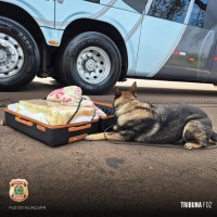 Policia Federal prende passageira com 25 Kg de maconha na BR-277 em Santa Terezinha de Itaipu