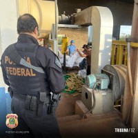 Policia Federal incinera 6 (seis) toneladas de drogas apreendidas na região da tríplice fronteira