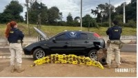 PRF faz apreensão de drogas na BR-277 onde um veículo Focus era transportado em cima de guincho