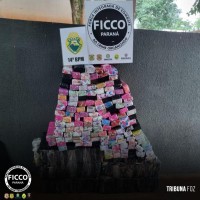FICCO/PR apreende 220 quilos de maconha em Foz do Iguaçu