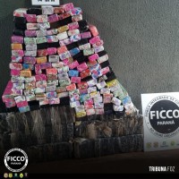 FICCO/PR apreende 220 quilos de maconha em Foz do Iguaçu