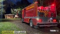Tamanduá-mirim é resgatado pela Defesa Civil em propriedade rural de Santa Helena e devolvido ao habitat natural
