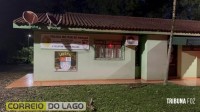 Tamanduá-mirim é resgatado pela Defesa Civil em propriedade rural de Santa Helena e devolvido ao habitat natural
