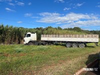 BPFRON apreende 898 Kg de maconha e causa prejuízo de mais de R$ 2 milhões ao crime organizado