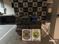 BPFRON apreende 898 Kg de maconha e causa prejuízo de mais de R$ 2 milhões ao crime organizado