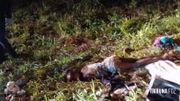 Mulher trans é encontrada morta em lote baldio próximo à Rodoviária de Foz do Iguaçu