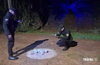 Gato do mato é encontrado morto após ser atropelado em Puerto Esperanza