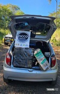 FICCO/PR: Ação conjunta resulta na prisão de veículo com drogas em Foz do Iguaçu