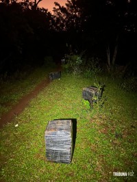 PF e PM e PC apreendem 166,9 Kg de maconha em porto clandestino em Foz do Iguaçu