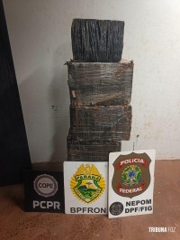 PF e PM e PC apreendem 166,9 Kg de maconha em porto clandestino em Foz do Iguaçu
