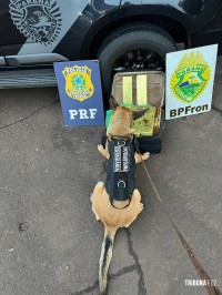 BPFRON e PRF prendem homem com mala carregada com maconha em Santa Terezinha de Itaipu