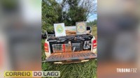 PF e PM apreendem 879 Kg de maconha em Santa Tereza do Oeste