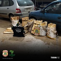 Policia Federal e ICMBIO prendem indivíduo por crime ambiental no Parque Nacional do Iguaçu